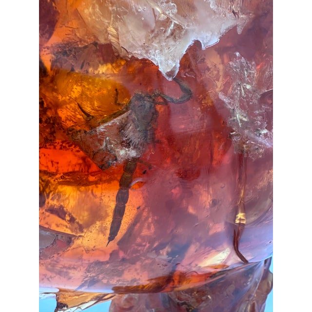 Life Size “Fossilized” Resin Amber Fish Sculpture For Sale - Image 4 of 5