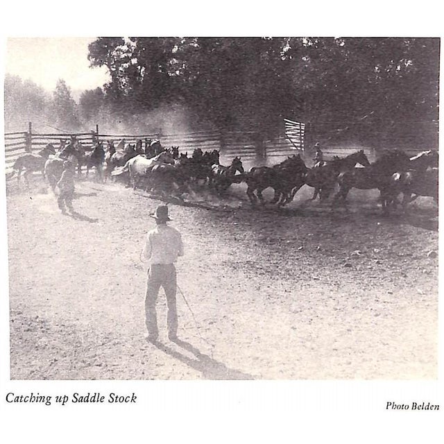 "Dude Ranches and Ponies" 1936 Smith, Lawrence B. For Sale - Image 10 of 12