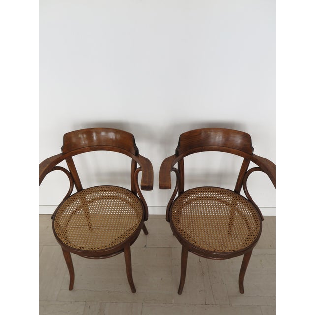 Wood Vintage Chairs by Michael Thonet for Thonet, 1930s, Set of 6 For Sale - Image 7 of 18