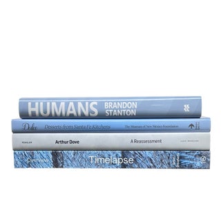 Decorative Books - Blue Ice Coffee Table Stack - 4 Blue Books For Sale