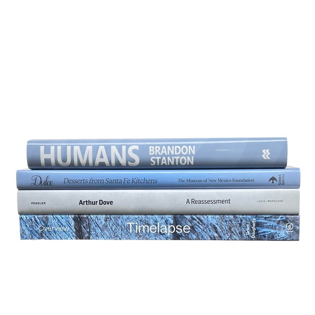 Decorative Books - Blue Ice Coffee Table Stack - 4 Blue Books For Sale