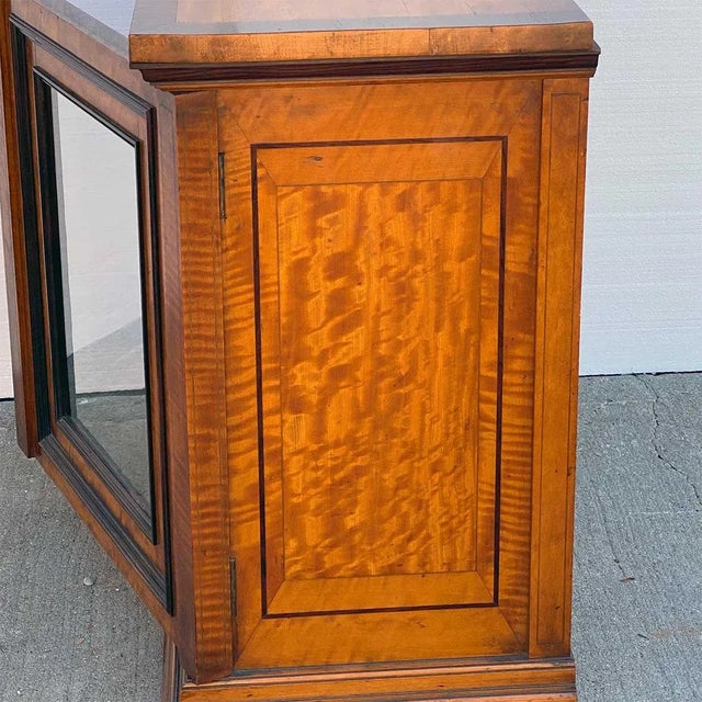 19th Century Flemish Burled Birch Glazed Door Microscope Slide Table Cabinet For Sale - Image 11 of 13