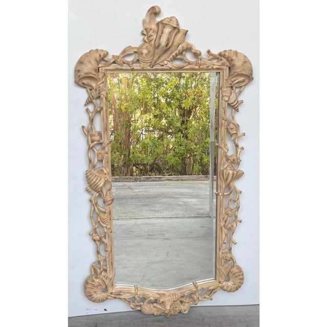 Italian Hand-Carved Grotto Shell & Coral Reef Mirror with Beveled Glass For Sale - Image 4 of 18