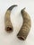 1960s Primitive Longhorn Bull Horns Southwest D√©cor - Set of 2 For Sale - Image 9 of 10