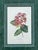 Vintage Framed Botanical Floral Prints - A Pair For Sale - Image 11 of 12