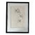 Vintage 1974 Framed Realistic Drawing of a Snowy Owl For Sale