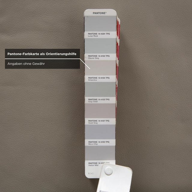 Clarus Sofa and Ottoman in Grey Leather from FSM, Set of 2 For Sale - Image 10 of 18