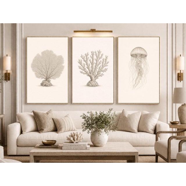 Not Yet Made - Made To Order Coastal Sea Life Study Collection, Minimal Botanical & Shell Art Prints, 24" × 36" (Set of 3) For Sale - Image 5 of 10