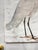 Contemporary White Egret - Hand-Executed Textured Wall Art | Michele Stone Collection For Sale - Image 3 of 3