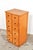 Vintage School Chest of Drawers, 1950s For Sale - Image 3 of 10