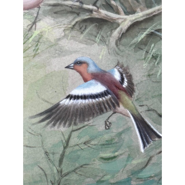 A Winter Gathering: Robin and Mixed British Songbirds — Original Watercolor on Paper in the Tradition of Archibald Thorburn For Sale - Image 9 of 18