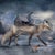 Early 21st Century Shelter - Spirit of the Fox by Marcin Owczarek | Photography - Dye Sublimation on Aluminum featuring a fox with a house and landscape. For Sale - Image 5 of 5