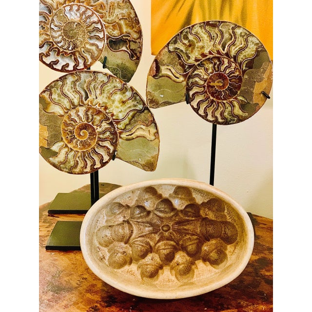 Antique Victorian English Ceramic Jelly/Aspic Mould, 19th Century For Sale - Image 11 of 12