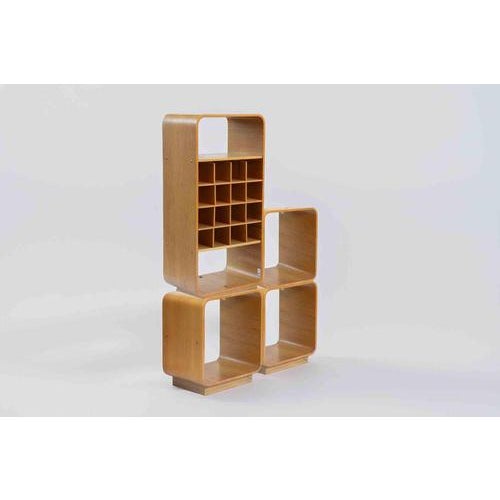 Modular Bookshelf by Carlo de Carli for Fiarm, Italy, 1970s For Sale - Image 3 of 8