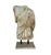 Mid 20th Century Greek Roman Marble Torso Sculpture on Iron Stand, 20th Century, Italy For Sale - Image 5 of 18