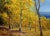 Charles Pruitt -Fall in a New Mexico Aspen Trees Landscape -Oil Painting For Sale - Image 4 of 8