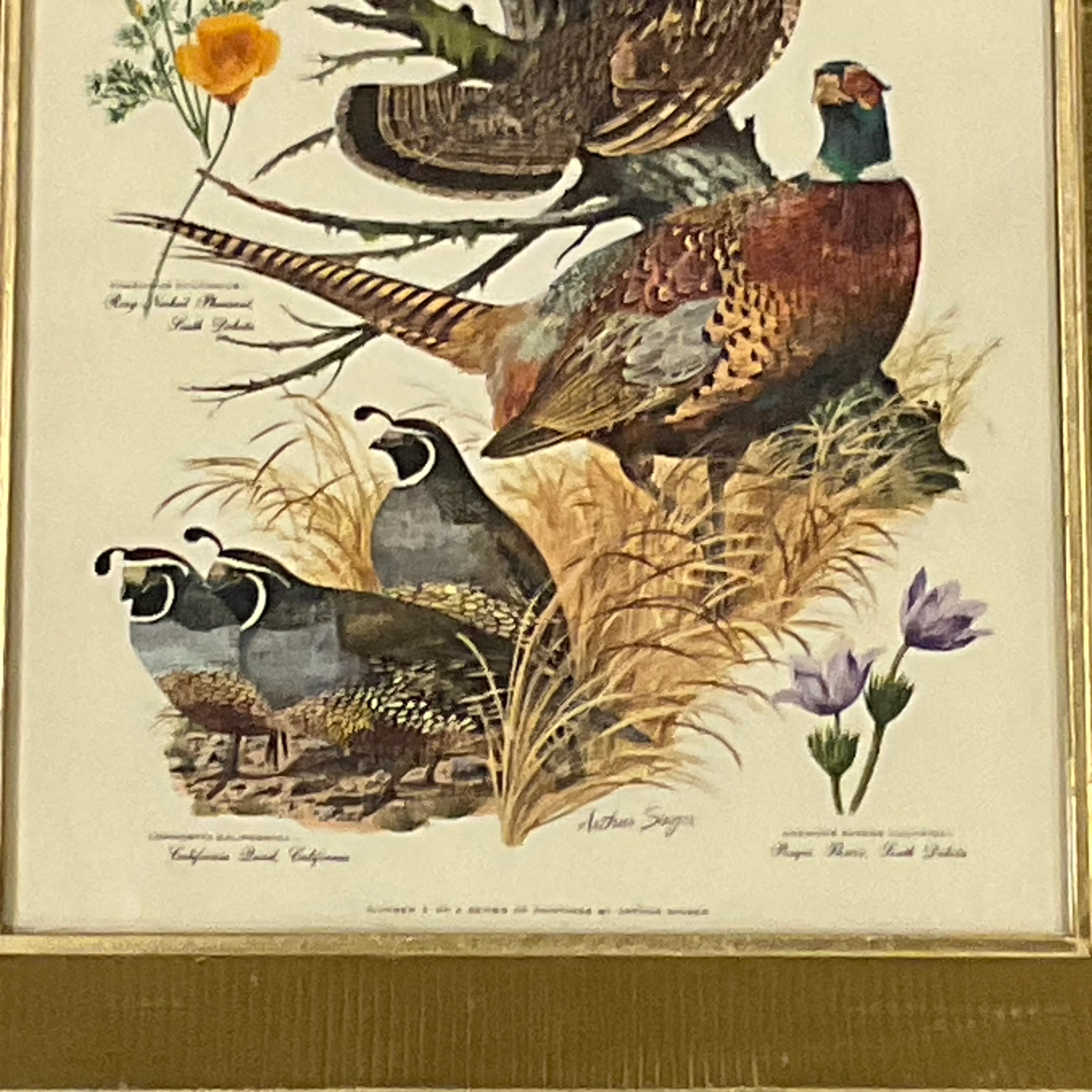 vintage-americana-arthur-