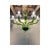 Green Green Murano Glass Chandelier with Trasparent Rostrato Boubeches by Simoeng For Sale - Image 8 of 11