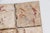 18th Century Gorgeous Set of Four Naturalistic Portuguese Tiles For Sale - Image 9 of 12