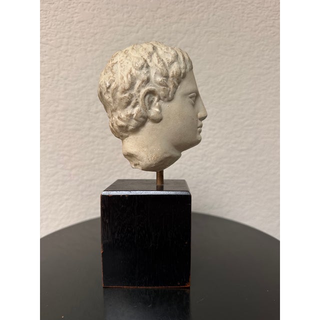 Beige Antique-Style Classical Roman Head Bust on Custom Stand For Sale - Image 8 of 8