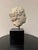 Beige Antique-Style Classical Roman Head Bust on Custom Stand For Sale - Image 8 of 8