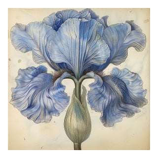 18" X 18" Romantic 'Blue and White Flower' - Watercolor & Pencil Print For Sale