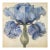 Blue Iris No. 2 – Antique Botanical Fine Art Print For Sale
