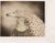 Etching hand watercolored realized by the italian Artist Benito Trolese. Hand signed. Not numbered. Excellent condition....