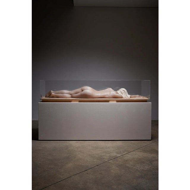 Nude Wax Lady in acrylic glass Art Piece. This exceptional sculpture features a wax figure of a lady, gracefully encased...