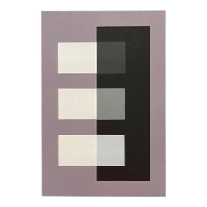 2009 Josef Albers the Interaction of Color Plate Xv-2