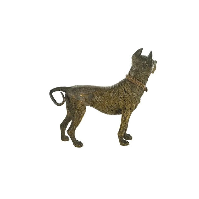 Metal Original Bronze Pit Bull Sculpture For Sale - Image 7 of 9