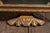 C. 1920 Crawford Shoe Reverse Painted Lighted Flashing Sign Display For Sale - Image 9 of 10