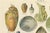 Antique Chromolithographs of Ceramics Through the Ages, 1898, Set of 2 For Sale - Image 6 of 13