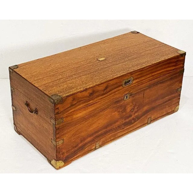 19th Century Large British Military Officer's Campaign Trunk of Brass-Bound Camphor For Sale - Image 4 of 12