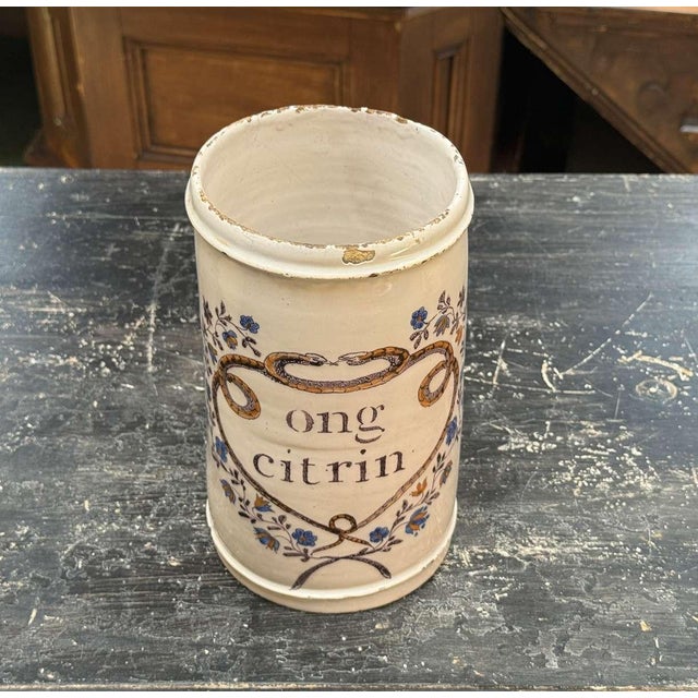 19th Century Earthenware Pharmacy Jar with Branches and with Snakes For Sale - Image 4 of 9