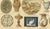 Antique Chromolithographs of Ceramics Through the Ages, 1898, Set of 2 For Sale - Image 11 of 13