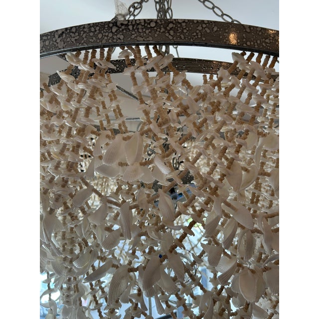 Made Goods Cascading Shell Chandelier For Sale In Philadelphia - Image 6 of 11