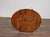 English 19th Century Mahogany Pembroke Table With Tapered Legs on Casters For Sale - Image 9 of 13