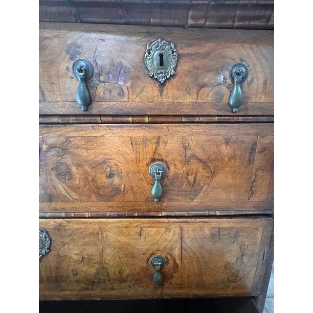 Antique William and Mary Burl Walnut Chest on Stand With Original Bronze Hardware and Cannonball Feet, Late 17th Century For Sale - Image 14 of 15