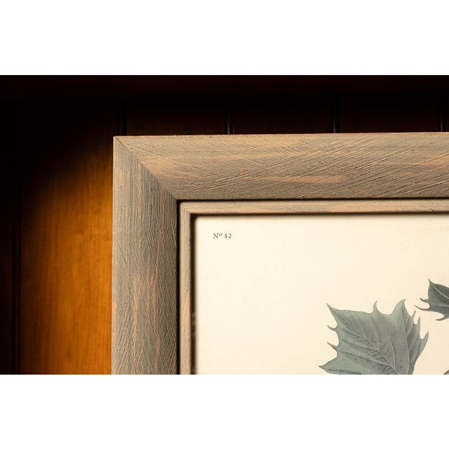 Artist: Robert Havell Date: 1970s reproduction of an 1830s original engraving Medium: Litho Print Style/Movement: Realism...