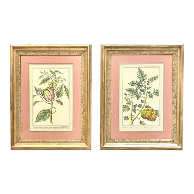 Pair Vintage Custom Framed Botanical Giclee Prints With Double Linen Matte For Sale