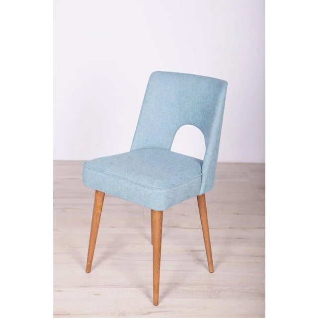 Polish Shell Chairs from Bydgoszcz Furniture Factory, 1960s, Set of 6 For Sale - Image 11 of 17