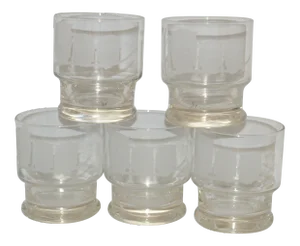 Vintage Bonwit Teller Etched Owl Lowball Rock Cocktail Glasses- Set of 5