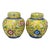 Pair of 19th Century Antique Chinese Cloisonné Jars For Sale