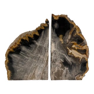 Large Petrified Wood Bookends- a Pair For Sale
