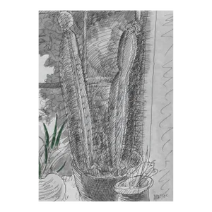 James Bone Cactus Still Life Drawing