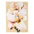 Peach Lily on Beige, 1980 Signed Screenprint by Lowell Blair Nesbitt For Sale
