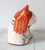 White English Pop-Art Porcelain Cat by Toni Davidson & Alan P. Smith For Sale - Image 8 of 12