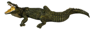 Viennese Bronze Crocodile with Maiden in Belly attributed to Bergmann, 1900s