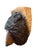 Folk Art Vintage Hand-Carved Folk-Art Black Bear Relief Sculpture From Tree Trunk For Sale - Image 3 of 4